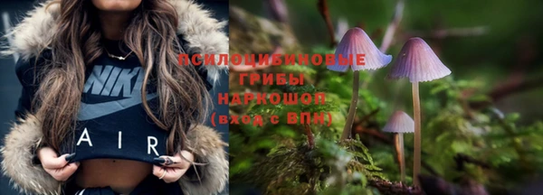 крисы Волосово