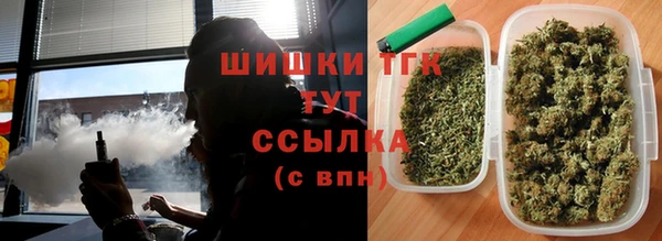 ПСИЛОЦИБИНОВЫЕ ГРИБЫ Саяногорск