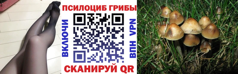 Псилоцибиновые грибы прущие грибы  мега сайт  Мценск 